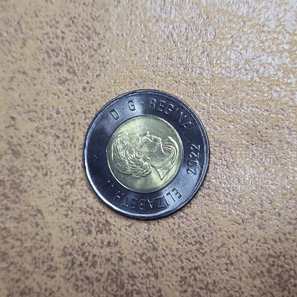 1 Black Toonie • $2 • Honouring Queen Elizabeth II • Super Rare • Uncirculat… - Picture 5 of 6